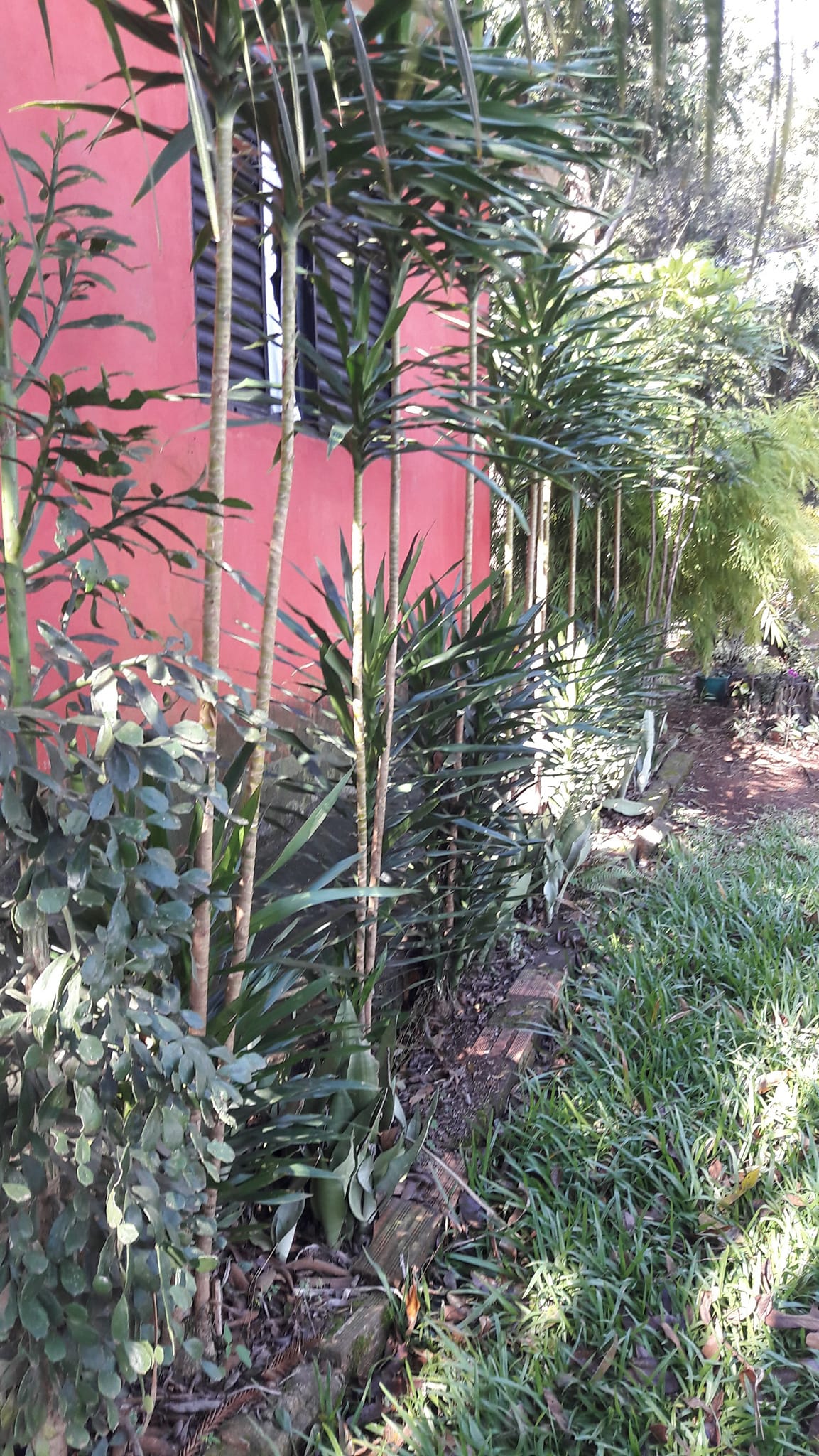 Foto do imóvel: Terreno à Venda, 3.200 m²em Efapi - Chapecó