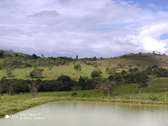 Imagem Fazenda à Venda, 400.000m² em Girassol - Cocalzinho de Goiás