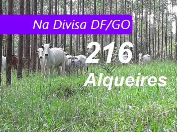 Imagem Fazenda à Venda, 90.000m² em Zona Rural - Padre Bernardo