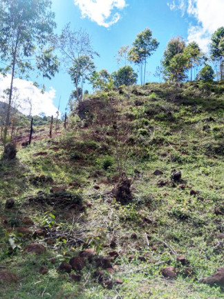 Imagem Terreno à Venda, 1.000 m² em Jardim Zaira - Mauá
