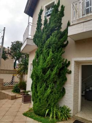 Imagem Sobrado com 3 Quartos à Venda,  em Vila Mendes - São Paulo