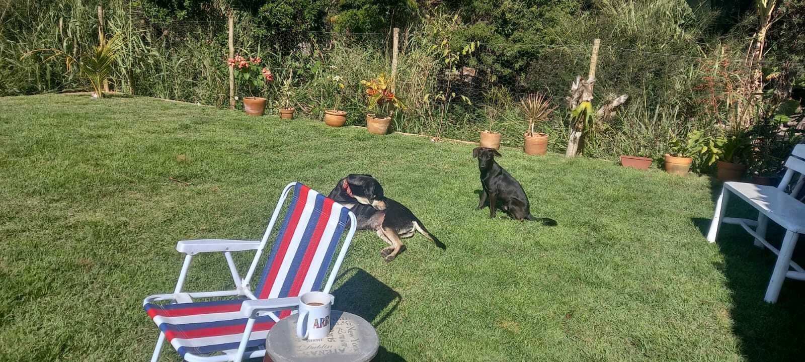 Imagem Casa com 2 Quartos à Venda, 115 m² em Rasa - Armação dos Búzios