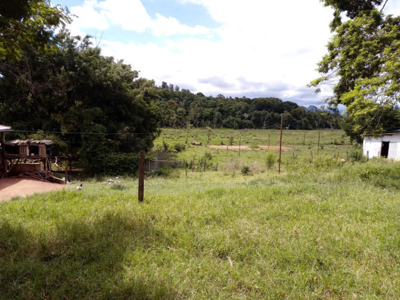 Imagem Chácara com 4 Quartos à Venda, 25.000 m²em Jardim Palmeiras - Caçapava