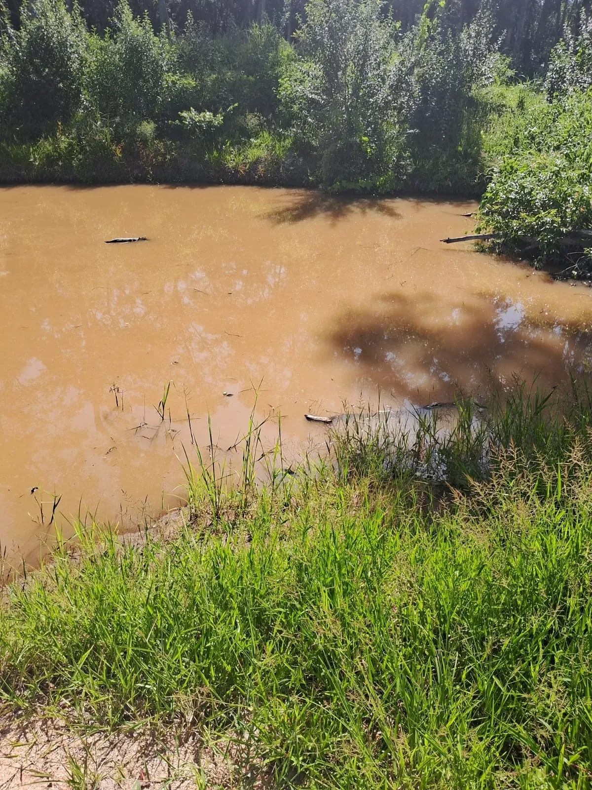 Imagem Chácara à Venda, 25000 m² em Poção - Cuiabá