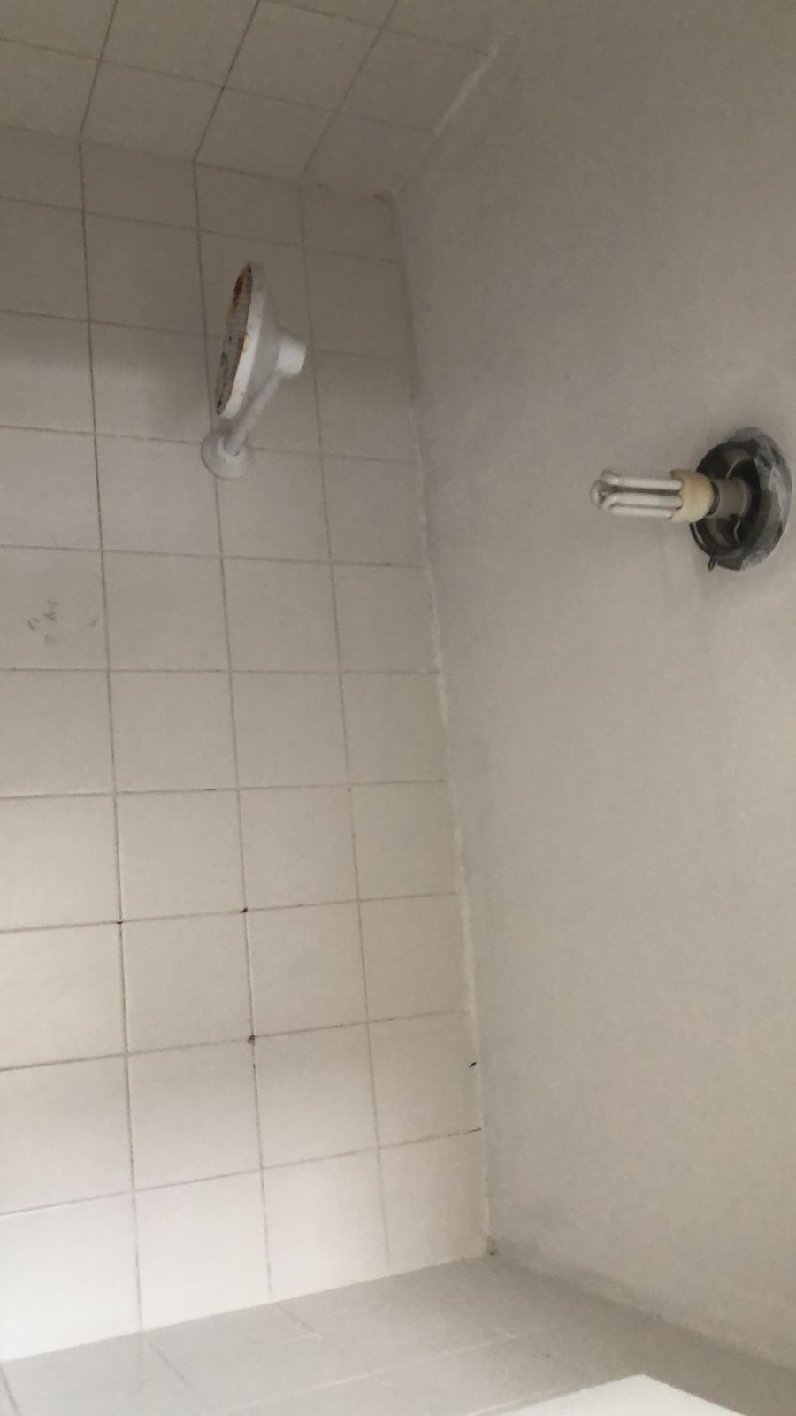 Imagem Apartamento com 3 Quartos para Alugar, 115 m² em Boa Viagem - Recife