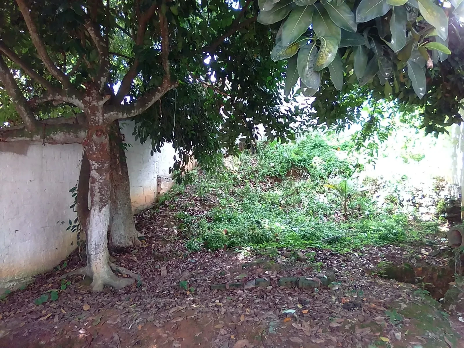 Imagem Casa com 2 Quartos à Venda, 210 m² em Vila Liberdade - Moreno