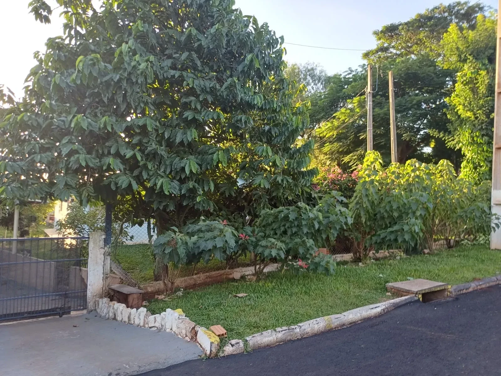 Imagem Chácara com 6 Quartos à Venda, 400 m² em Pitangueiras - Pitangueiras