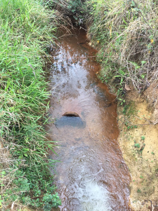 Imagem Fazenda à Venda, 149.000 m² em Zona Rural - Soledade de Minas