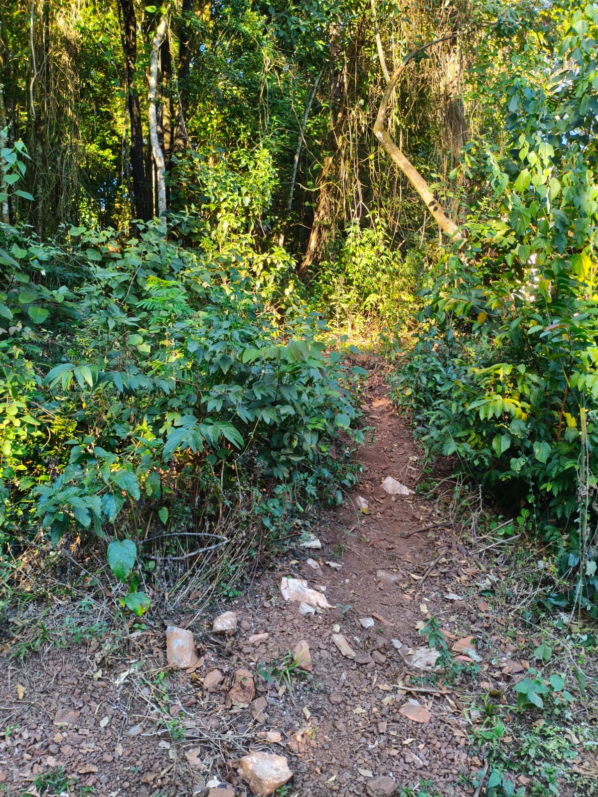 Foto do imóvel: Terreno à Venda, 2.000 m² em Recanto da Aldeia - Brumadinho