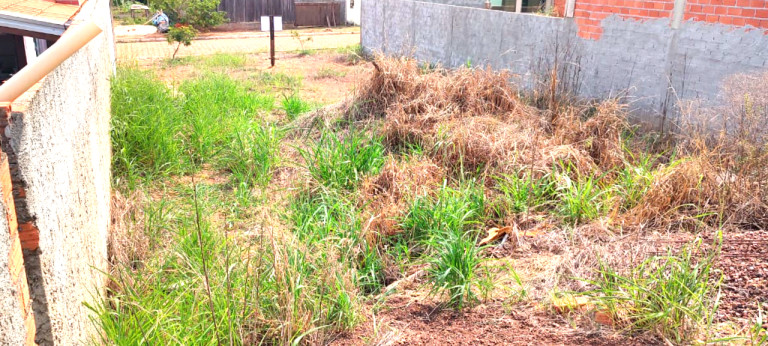 Terreno à Venda, 228 m²em Terra Nova - Espigão D'Oeste