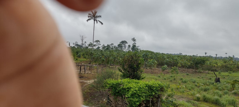 Imagem Terreno à Venda, 2.000 m² em Zona Rural - Humaitá