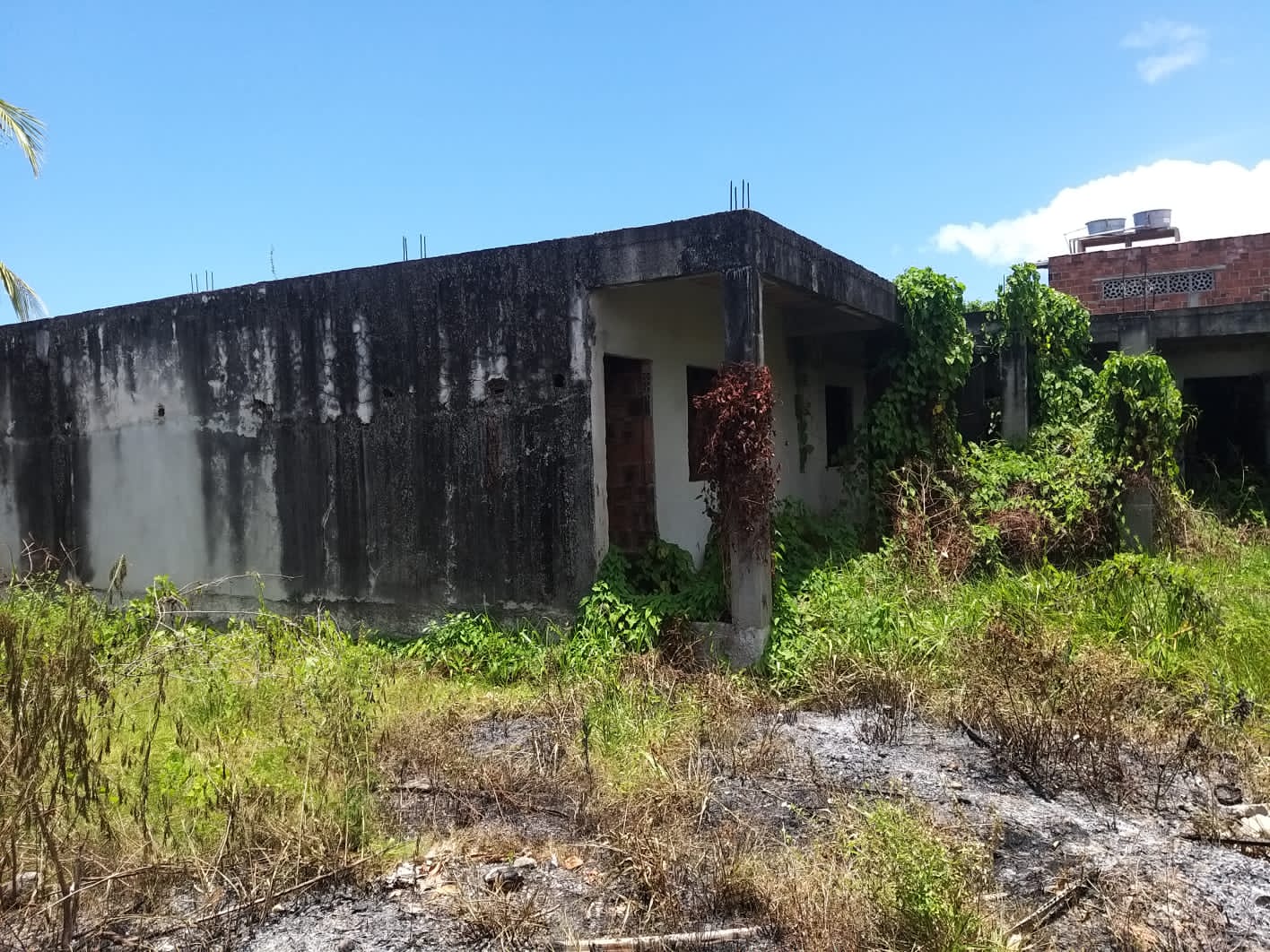 Imagem Terreno à Venda, 900 metro em Goiana - Goiana