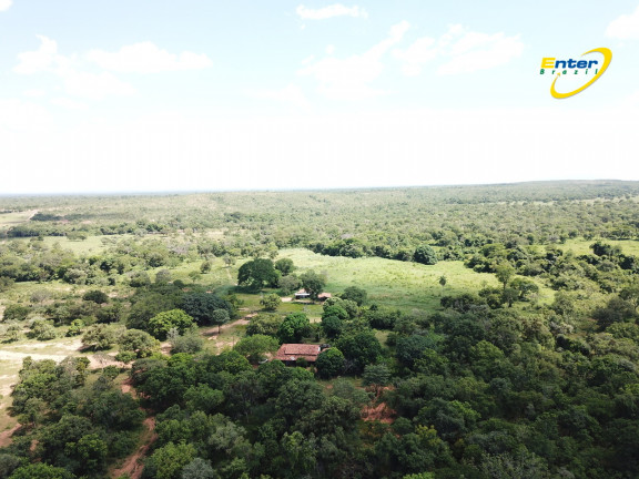 Imagem Fazenda à Venda, 681.000 m² em rural - São João D'Aliança