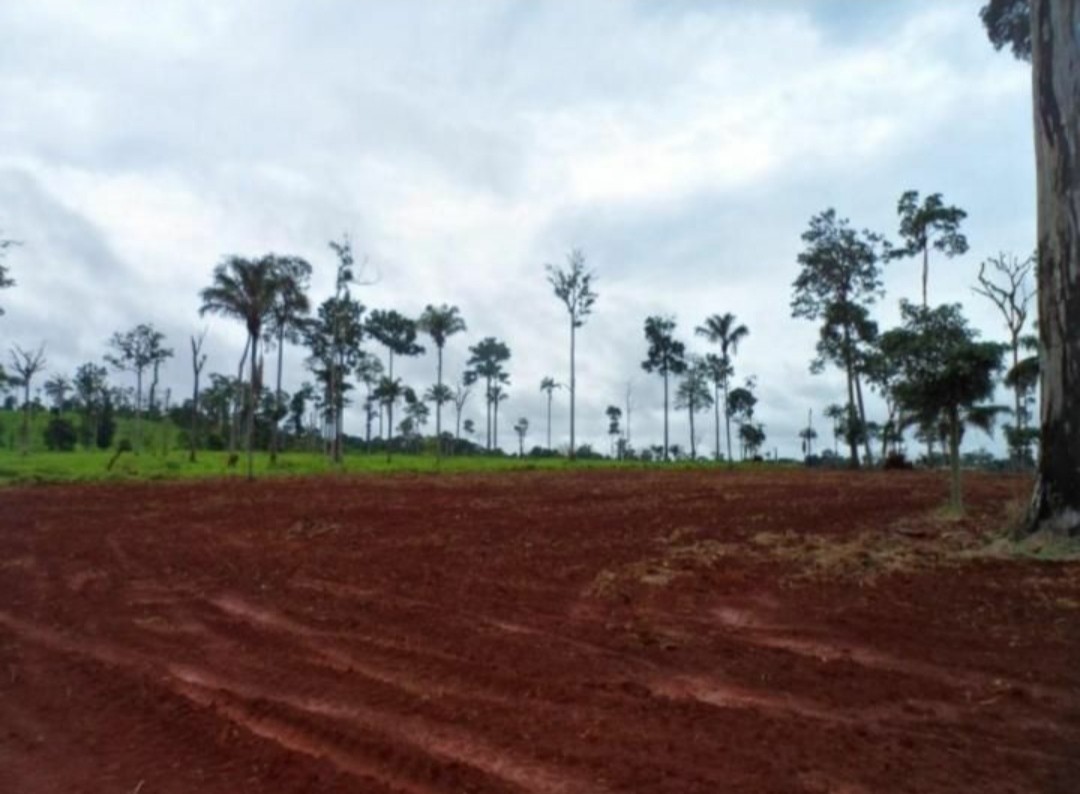 Foto do imóvel: Fazenda à Venda, 9.399 m² em Centro  - São Félix do Xingu