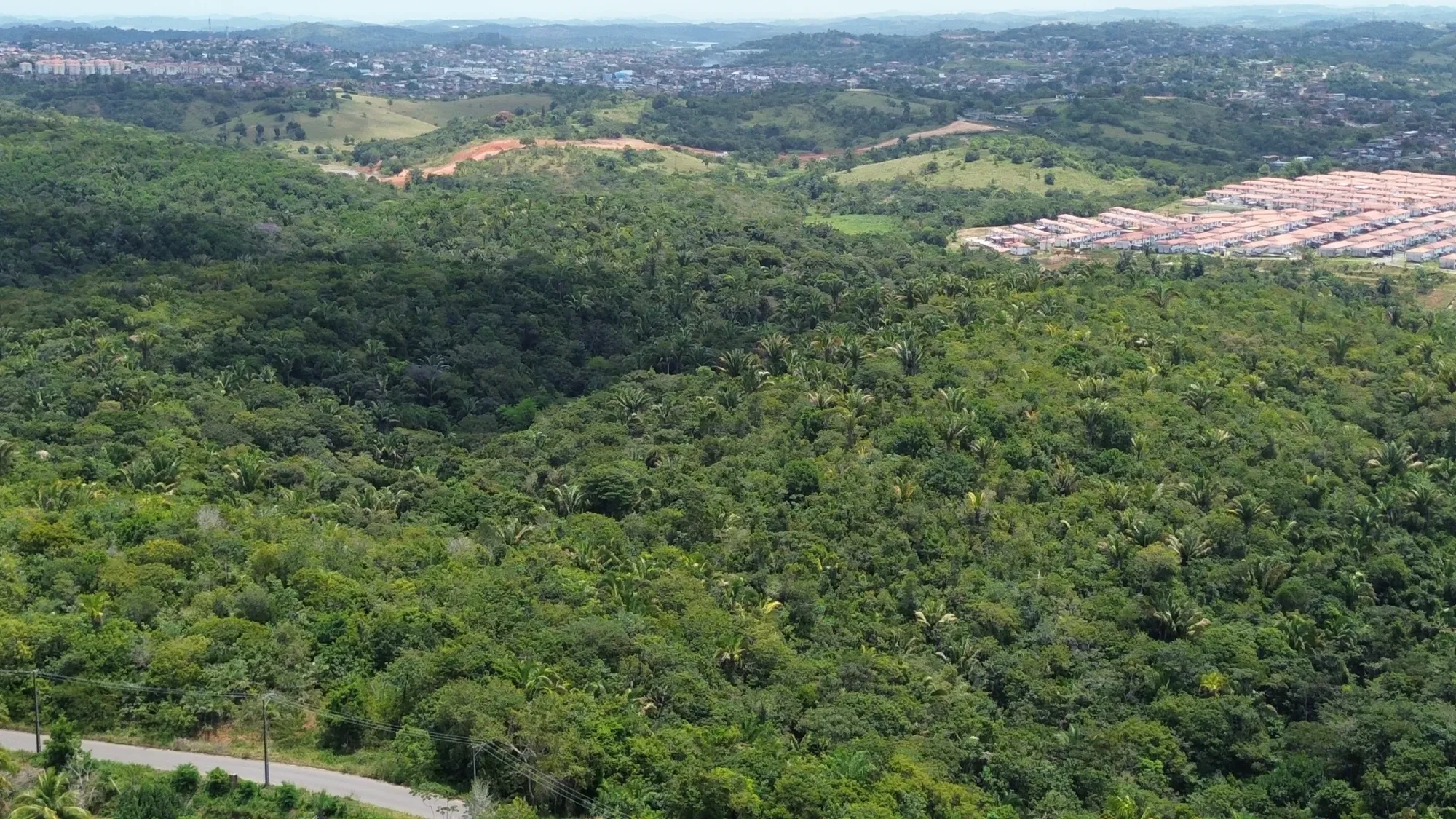 Imagem Terreno à Venda, 544000 metros em centro - Simoes Filho