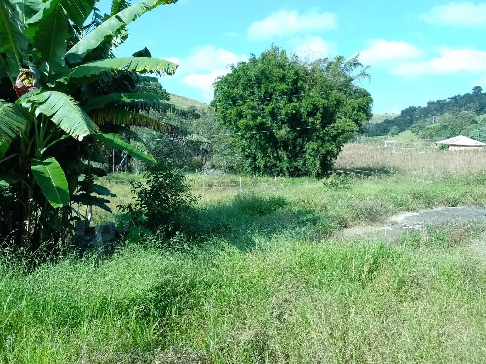 Imagem Fazenda à Venda, 3 Alq. MG em Bandeira do Sul - Bandeira do Sul