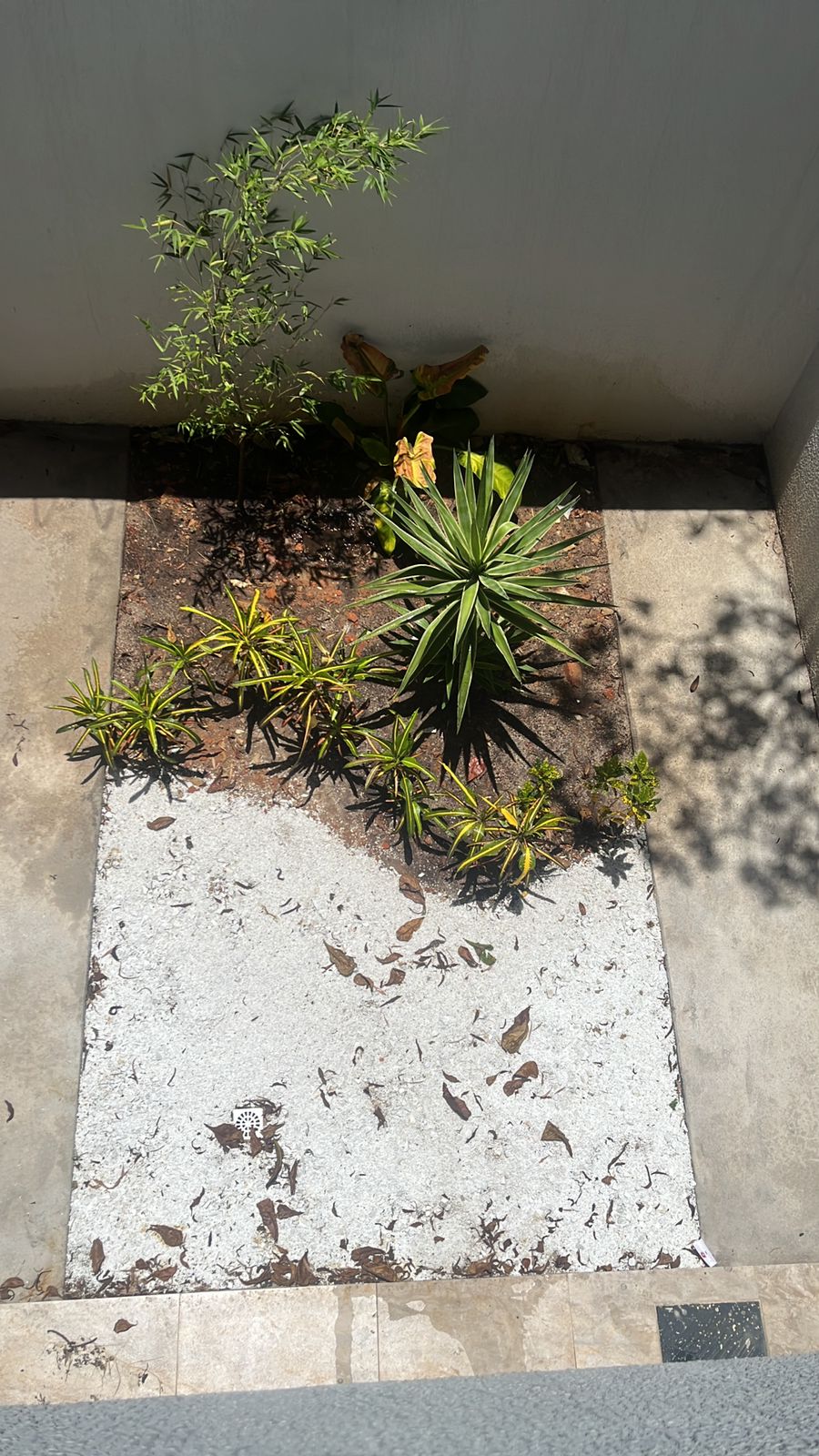 Imagem Sobrado com 3 Quartos à Venda, 120 m²em Parque Novo Oratório - Santo André