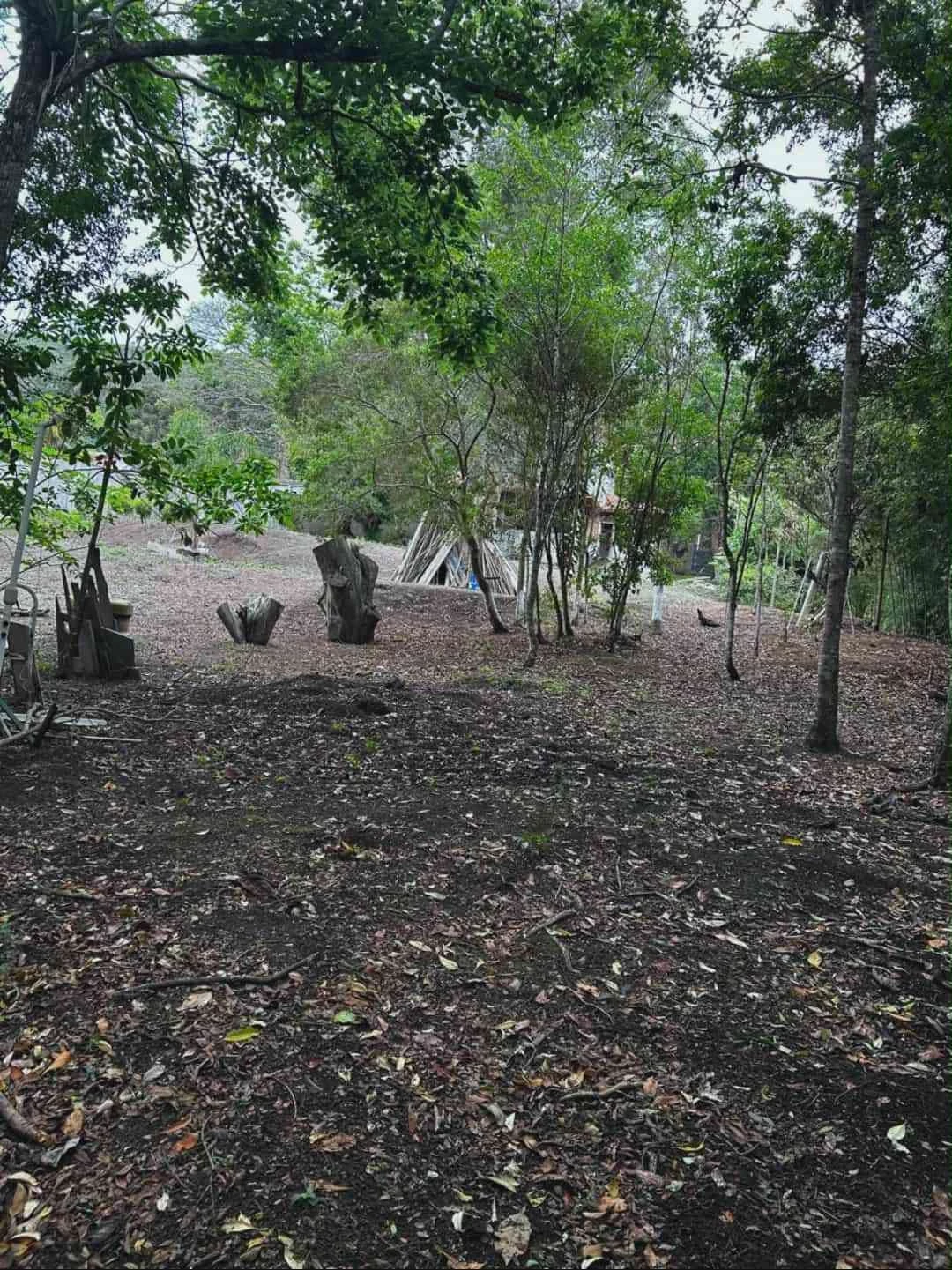 Imagem Chácara com 3 Quartos à Venda, 180 m² em Colinas - Poços de Caldas