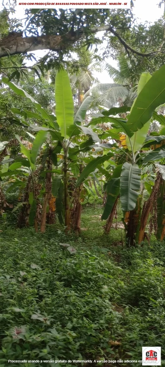 Foto do imóvel: Chácara com 2 Quartos à Venda, 80 m² em Maruim - Maruim