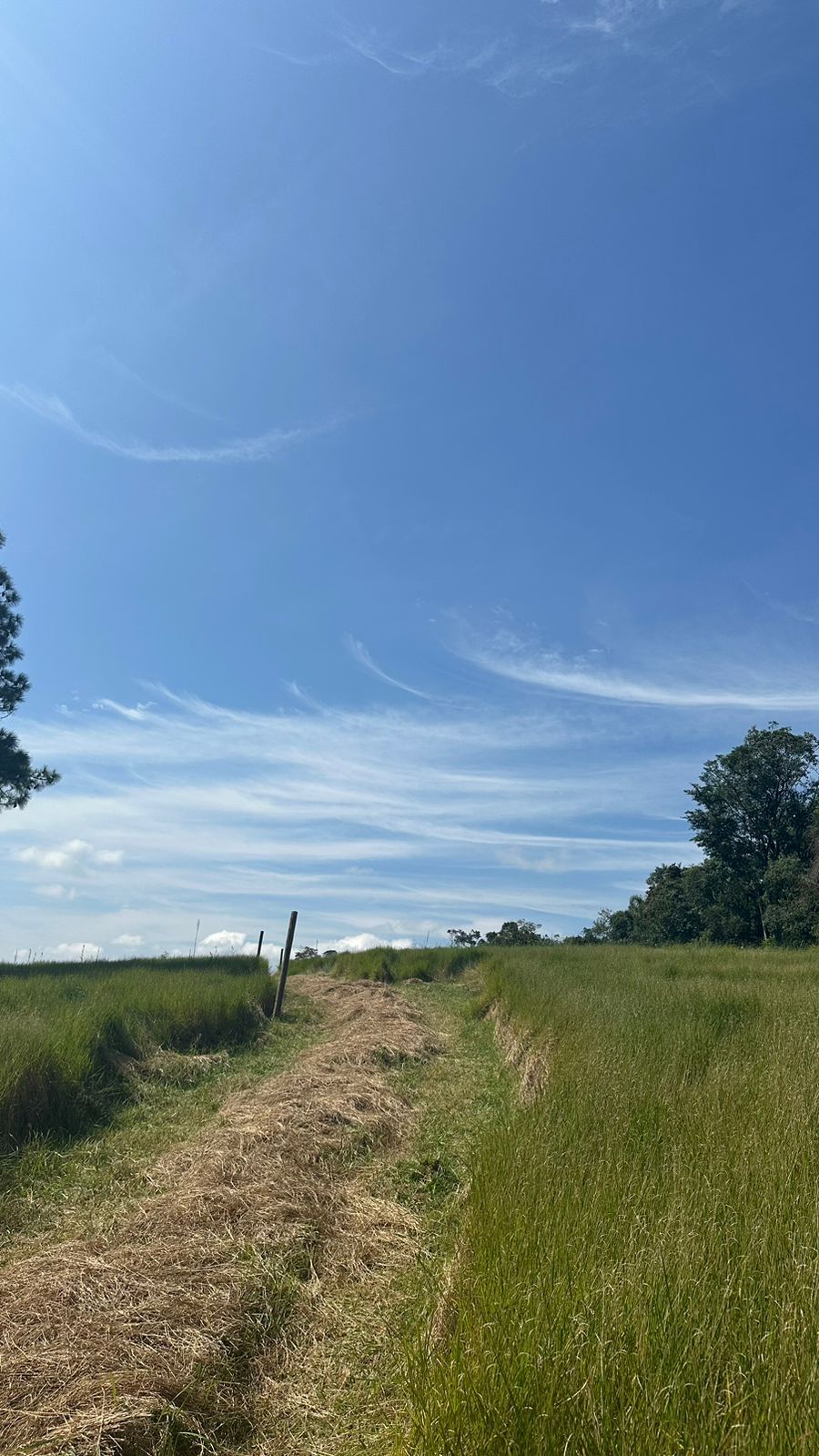 Imagem Terreno à Venda, 500 m²em Lageadinho - Ibiúna