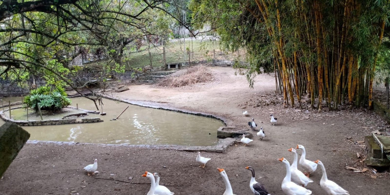 Imagem Chácara com 12 Quartos à Venda,  em Centro - Santa Isabel