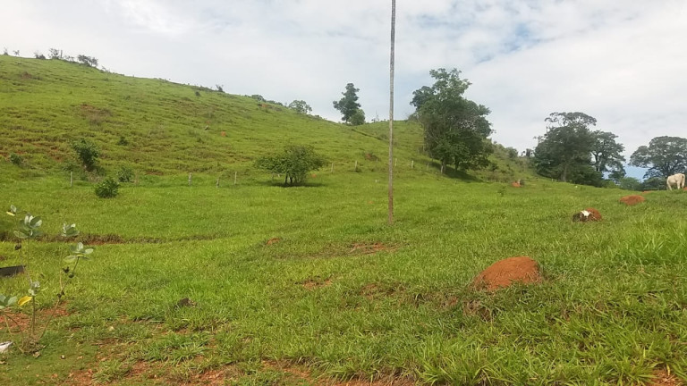 Fazenda à Venda, 54 Alq GOem Setor Central - Faina