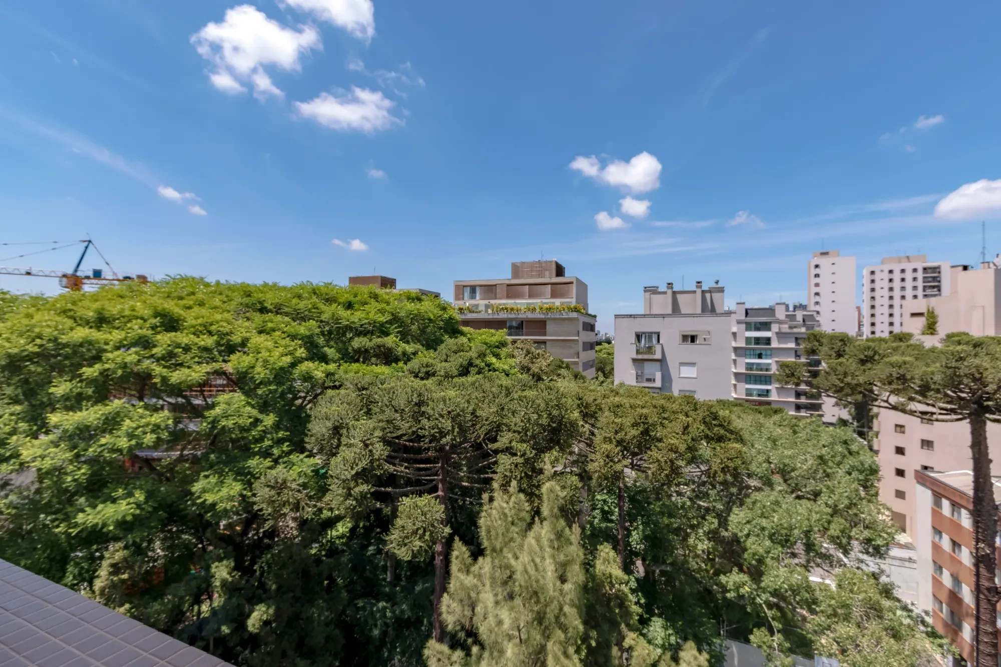 Imagem Cobertura com 3 Quartos à Venda, 289 m² em Cabral - Curitiba