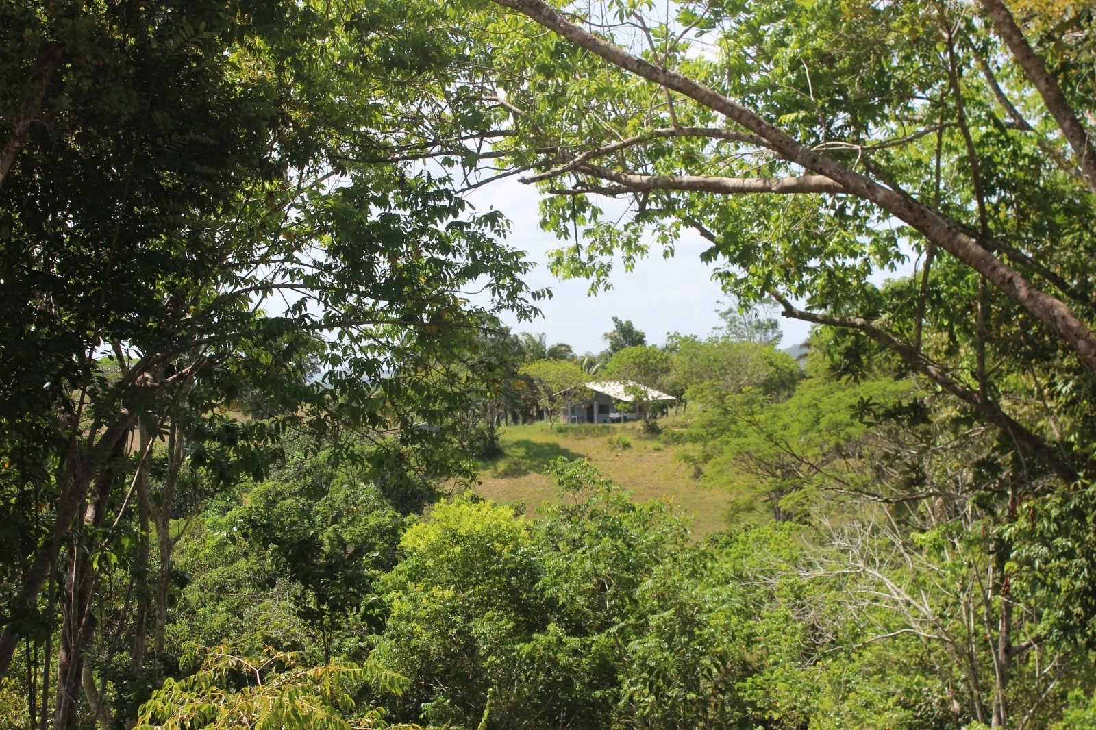 Foto do imóvel: Chácara com 2 Quartos à Venda, 20100 m² em Mata de São João - Mata de São João