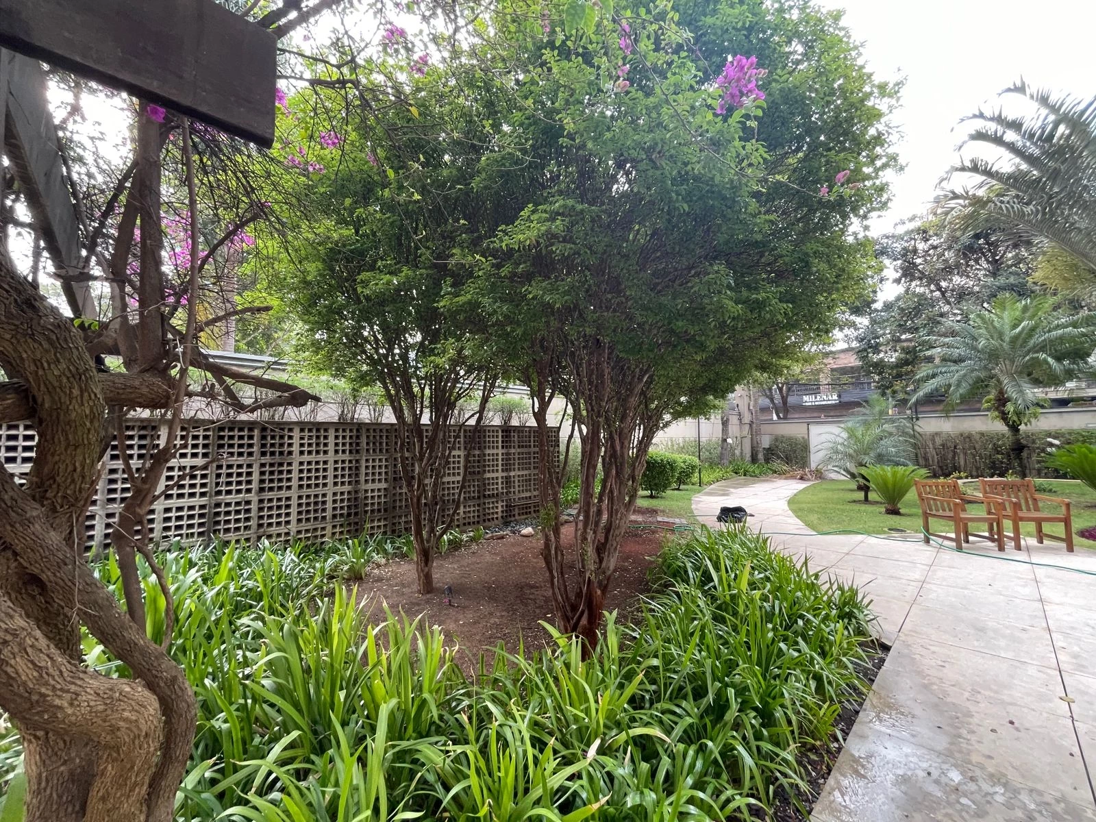 Imagem Apartamento com 2 Quartos à Venda, 80 m² em Paraíso - São Paulo