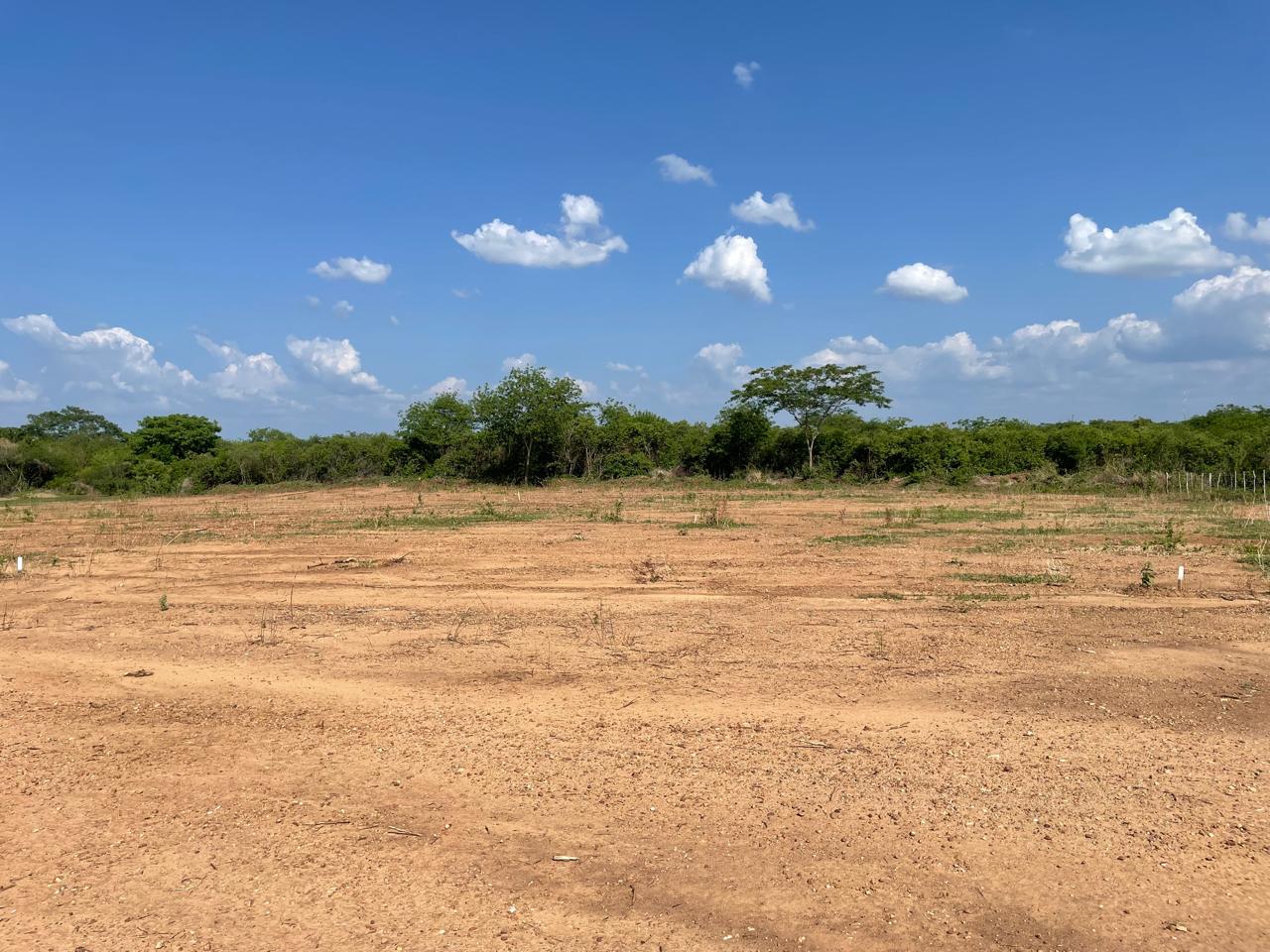 Foto do imóvel: Terreno à Venda ou Locação, 1.000 m² em Zona Rural - Itaporanga