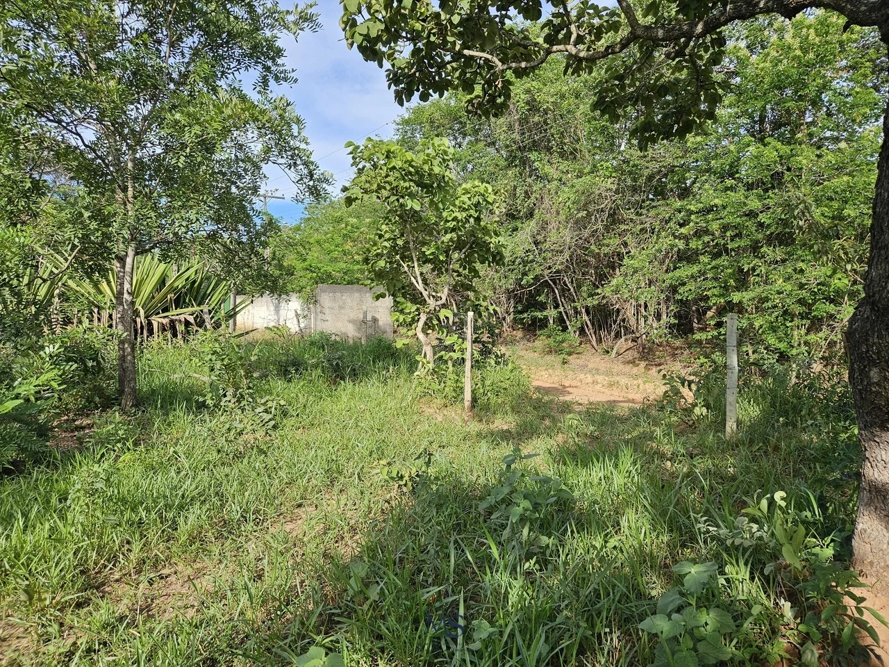 Imagem Fazenda à Venda, 18580 m² em Chácaras Ipanema - Valparaíso de Goiás