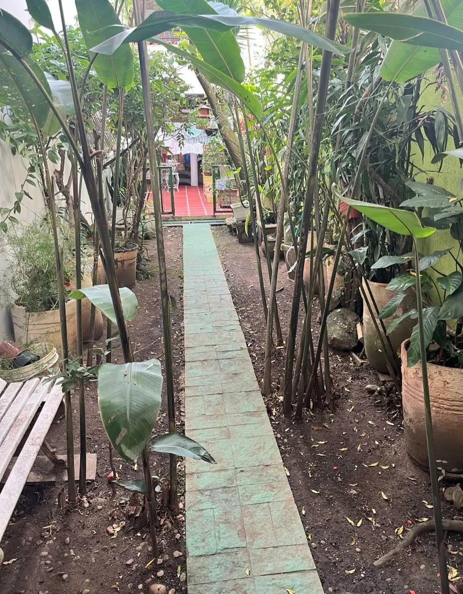 Foto do imóvel: Sobrado com 3 Quartos à Venda, 250 m² em Vila Mariana - São Paulo