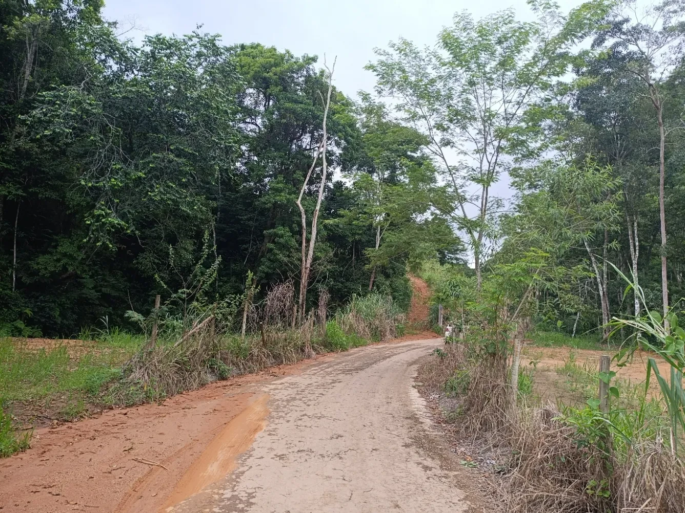 Imagem Chácara à Venda, 20000 metros em Santa Leopoldina - Santa Leopoldina