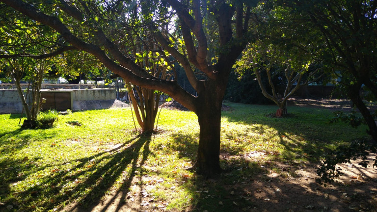 Imagem Chácara com 4 Quartos à Venda, 300 m² em Jardim do Trevo - Araçatuba