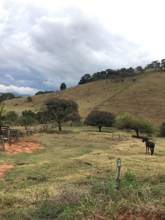 Fazenda à Venda, 149.000 m² em Zona Rural - Soledade de Minas