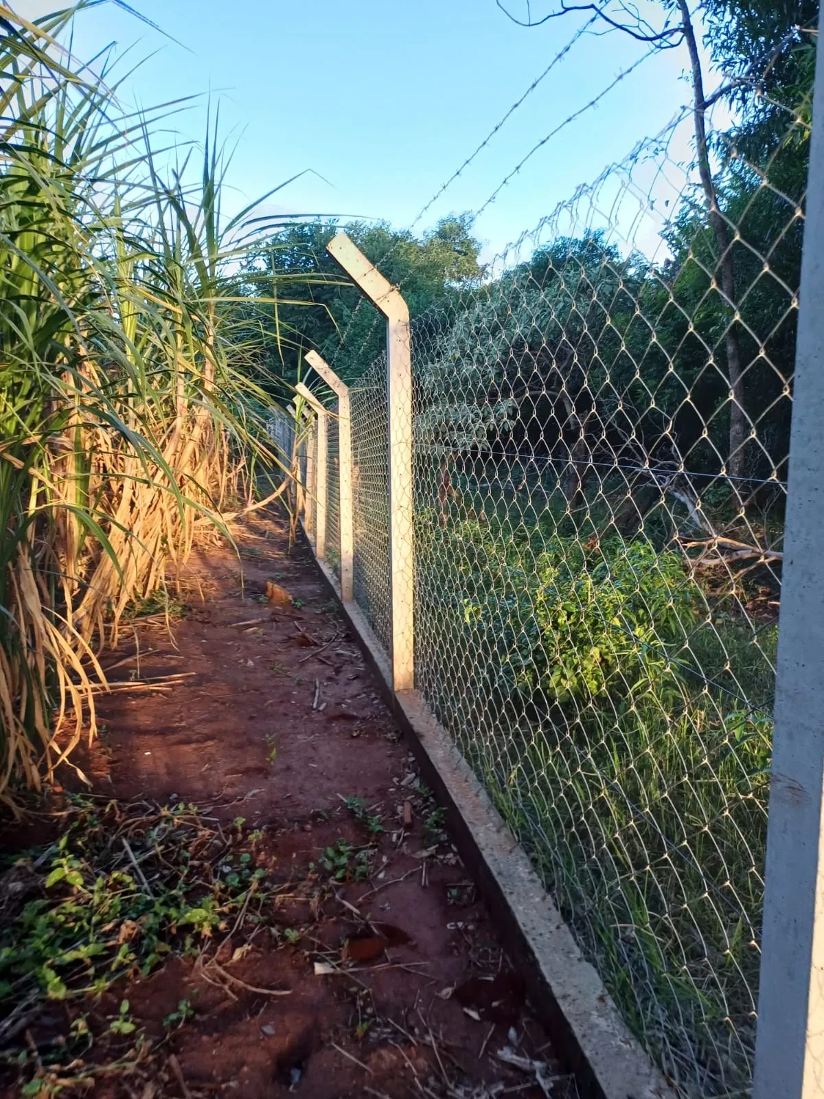 Imagem Chácara com 6 Quartos à Venda, 400 m² em Pitangueiras - Pitangueiras