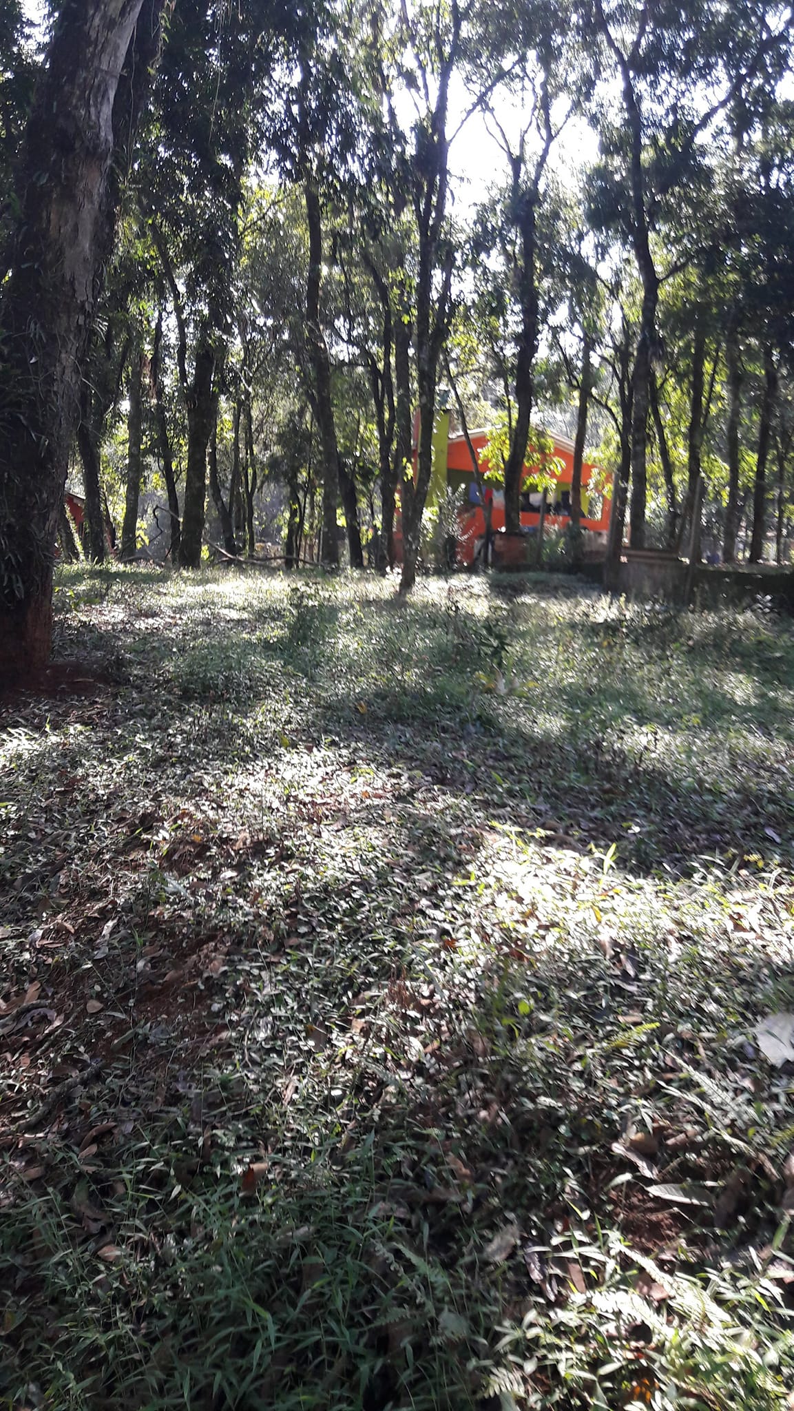 Foto do imóvel: Terreno à Venda, 3.200 m²em Efapi - Chapecó