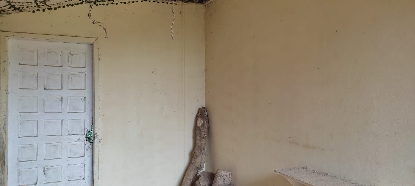 Imagem Casa com 6 Quartos à Venda, 2 m²em Vila Cubas - Tijucas do Sul