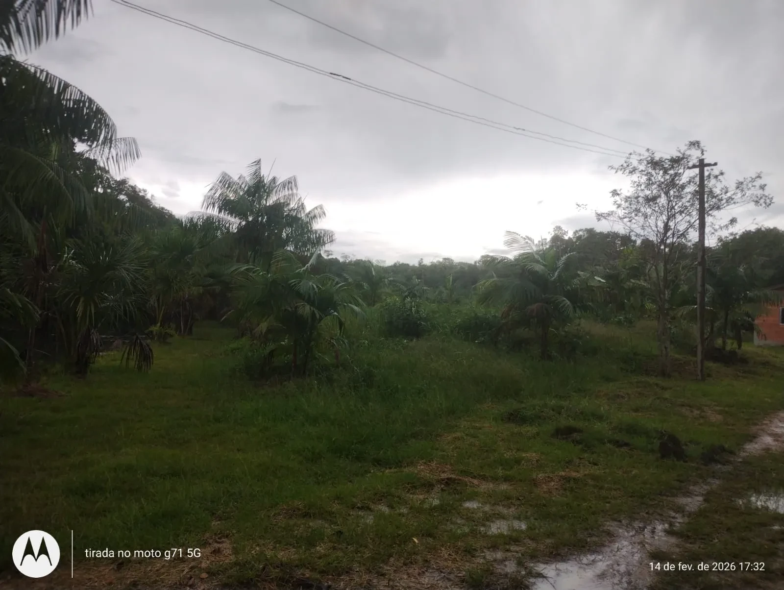 Imagem Fazenda à Venda, 46 HA em Acará - Acará