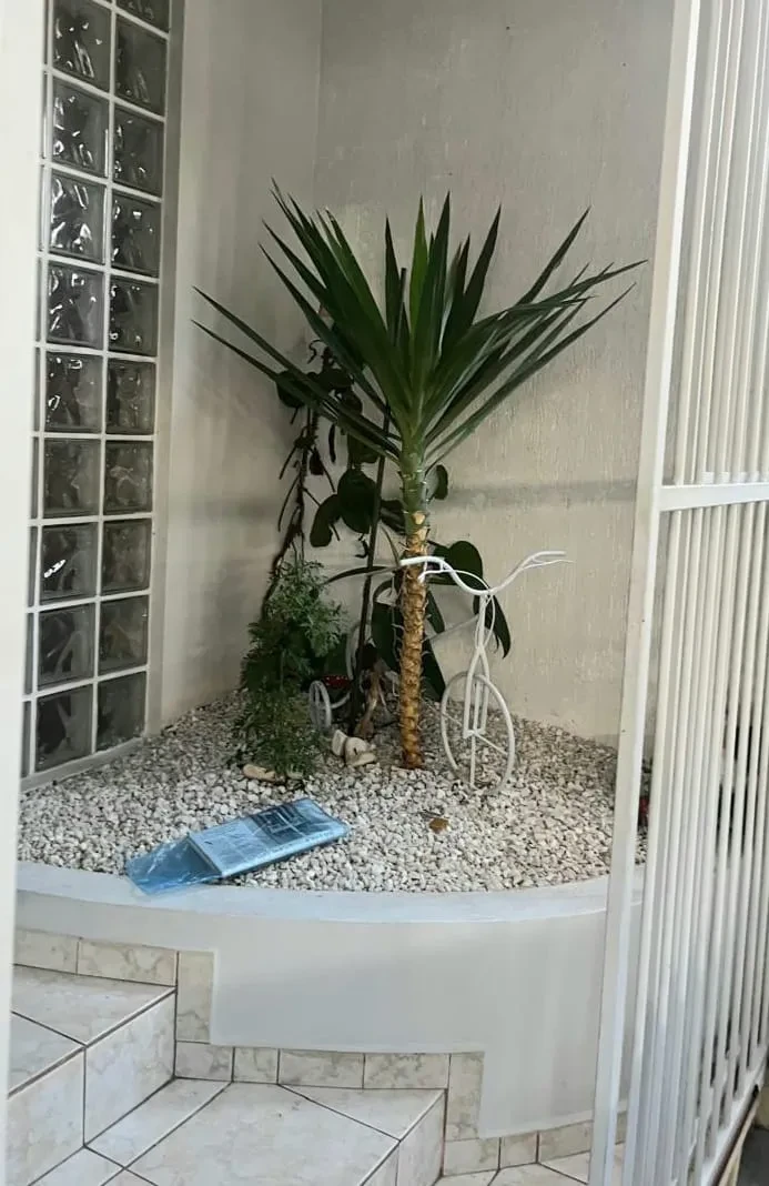 Foto do imóvel: Sobrado com 3 Quartos à Venda, 250 m² em Vila Mariana - São Paulo