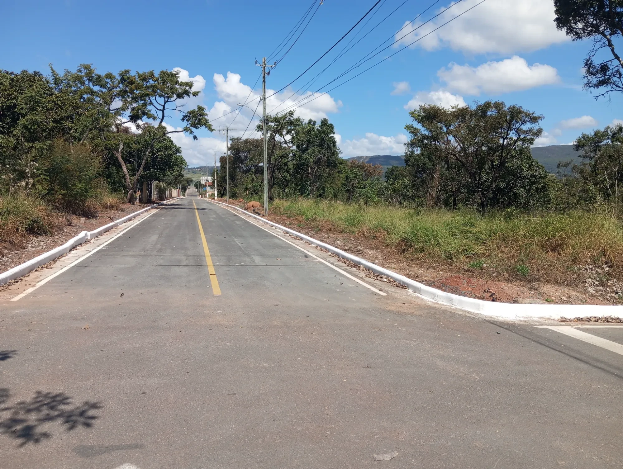 Imagem Terreno à Venda, 2982 m² em Pequi - Pequi