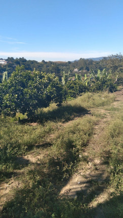 Imagem Terreno à Venda, 14.000 m² em Parque Recanto Mônica - Itaquaquecetuba