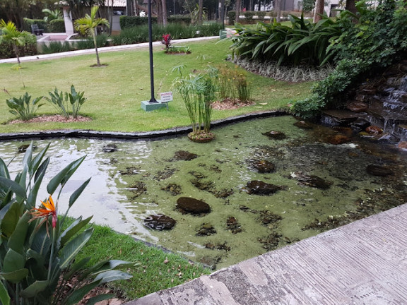 Imagem Apartamento com 3 Quartos à Venda, 126 m² em Vila Sônia do Taboão - Taboão da Serra