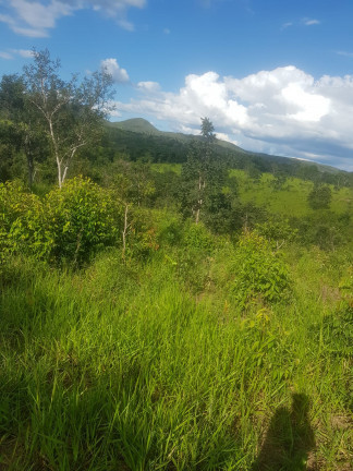 Imagem Fazenda à Venda,  em Área Rural - Padre Bernardo