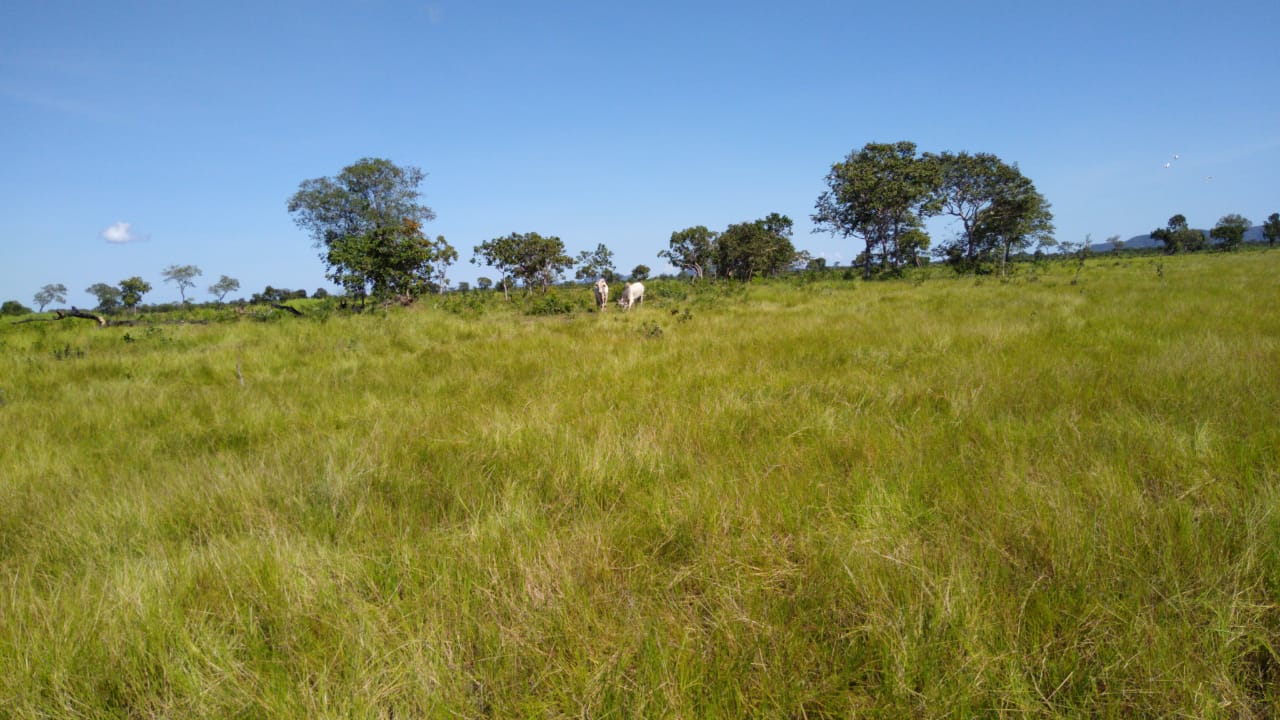 Imagem Fazenda à Venda, 543 Alq GOem Zona Rural - Cocalinho