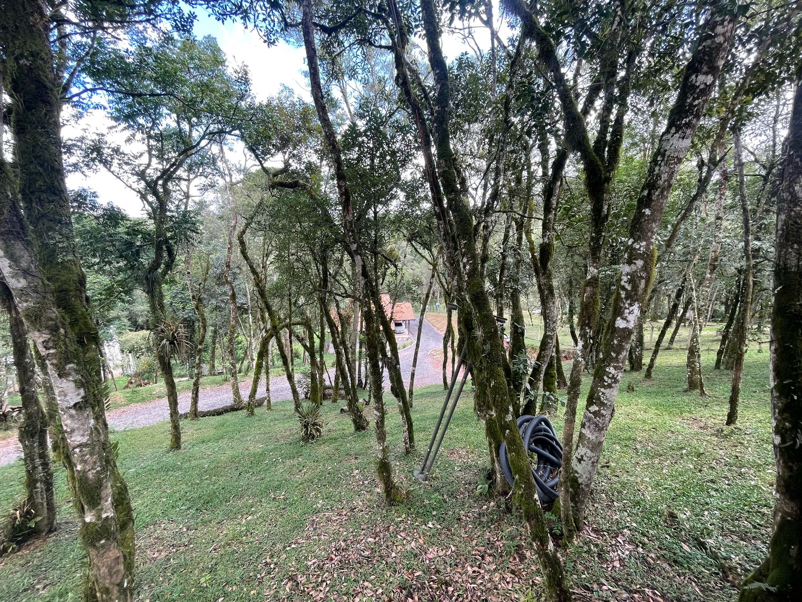 Foto do imóvel: Chácara com 3 Quartos à Venda, 6.800 m² em Salgadinho - Campo Largo