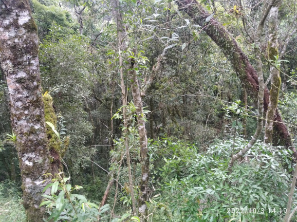 Terreno à Venda, 1.052 m² em Colinas do Imbiri - Campos do Jordão