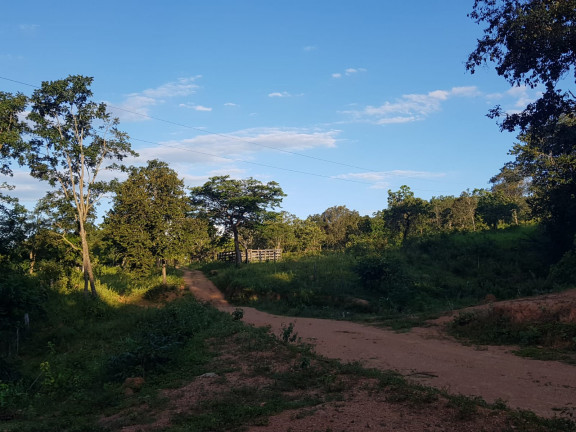 Imagem Fazenda à Venda,  em Área Rural - Padre Bernardo