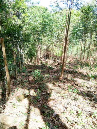 Terreno à Venda, 1.000 m² em Jardim Zaira - Mauá