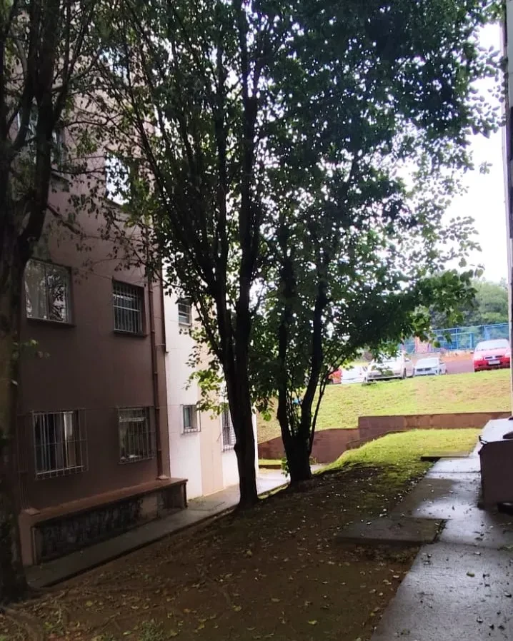 Imagem Apartamento com 2 Quartos à Venda, 43 m² em Vila Hortência - São Paulo